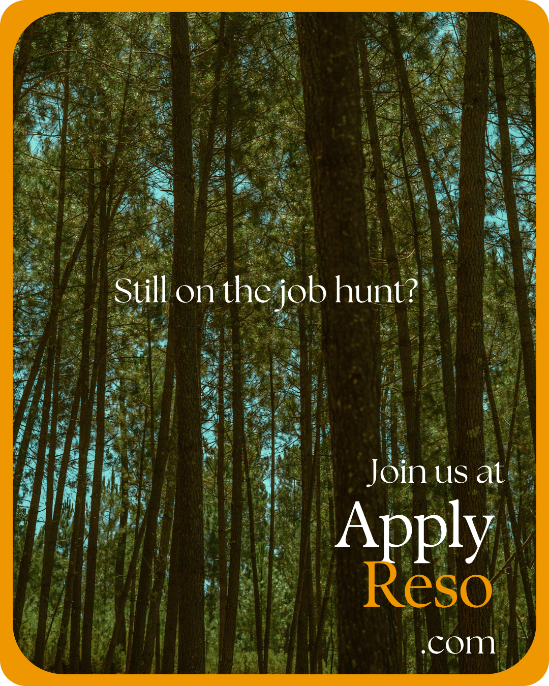 Instagram Post: Still on the job hunt?